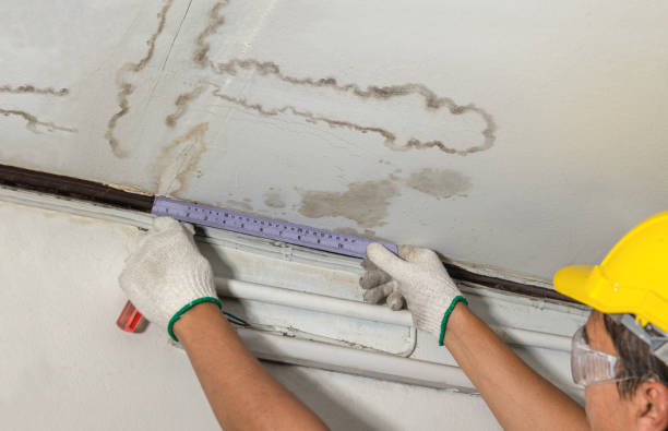 Reliable Water Damage contractor in Alex, OK by Water Damage Irwin